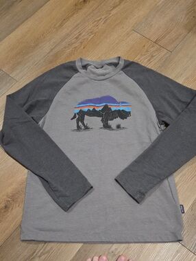 Men's Grey Raglan Long-Sleeve Shirt with Buffalo Graphic PTP 20